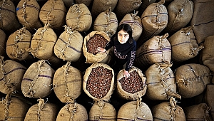 TURİZM MÜDÜRLÜĞÜNDEN FINDIK TANITIM HAMLESİ