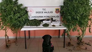 JANDARMA YAKALADI