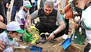 DÜZCE'DE 38 BİN 500 FİDAN TOPRAKLA BULUŞTU