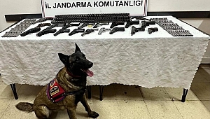 DÜZCE'DE SİLAH KAÇAKÇILIĞI OPERASYONU