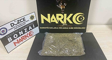 DÜZCE'DE 1 KİLO BONZAİ YAKALANDI