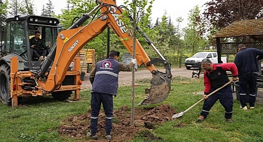 5 YILDA 7 BiN 140 FiDAN TOPRAKLA BULUŞTURULDU