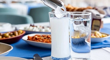 RAKI ZAMLANDI