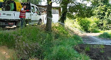 DÜZCE BELEDİYESİ SİNEKLERE SAVAŞ AÇTI