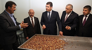 FINDIK DÖNÜŞÜM MERKEZİ AÇILDI