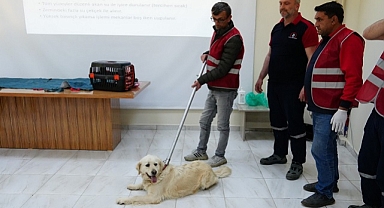 SOKAK KÖPEKLERİNİ YAKALAMA EĞİTİMİ