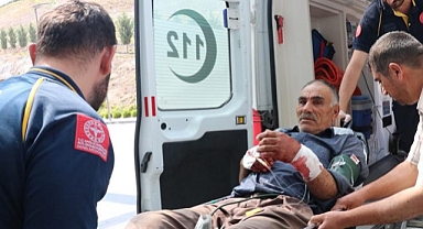 DÜZCE'DE 65 ACEMİ KASAP KENDİNİ KESTİ