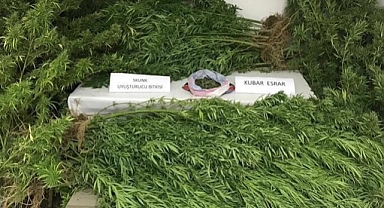 DÜZCE'NİN 6 İLÇESİNDE UYUŞTURUCU OPERASYONU