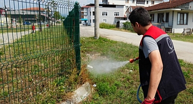 DÜZCE'DE HER YER İLAÇLANIYOR
