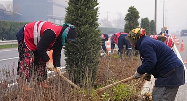DÜZCE'NİN CADDE VE SOKAKLARINA 160 AĞAÇ, 13 BİN BİTKİ DİKİLDİ