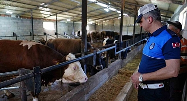 DÜZCE'DE KURBAN DENETİMLERİ BAŞLADI