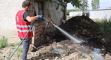 DÜZCE'DE SİNEK MÜCADELESİ