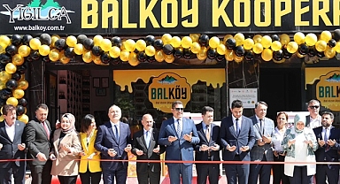 KOVANDA ARI, YIĞILCA'DA HAYAT VAR