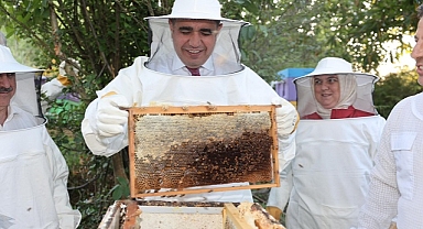 DÜZCE'DE KESTANE BALI HASADI BAŞLADI