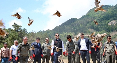 KENE MÜCADELESİ İÇİN 500 KEKLİK DOĞAYA SALINDI