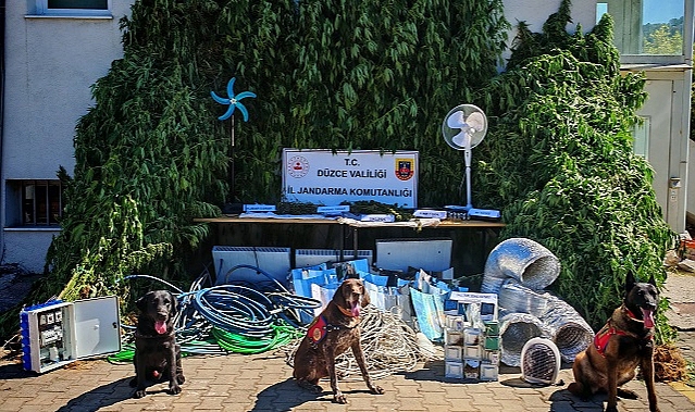 UYUŞTURUCU ÜRETİCİSİ FOTO KAPANLA YAKALANDI