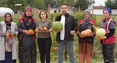 DÜZCE’DE ATA TOHUMU YETİŞTİRİCİLİĞİNDE İLK HASAT
