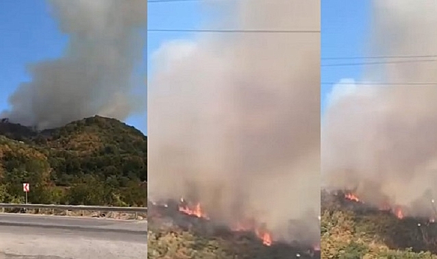 DÜZCE'DE ORMAN YANGINI