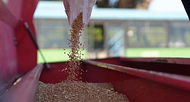 ATA TOHUMU YETİŞTİRİCİLİĞİ PROJESİ GENİŞLETİYOR