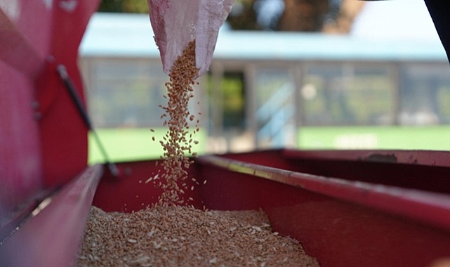 ATA TOHUMU YETİŞTİRİCİLİĞİ PROJESİ GENİŞLETİYOR