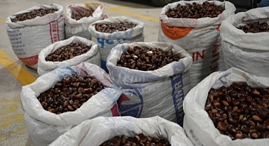 KESTANE PAZARA İNDİ