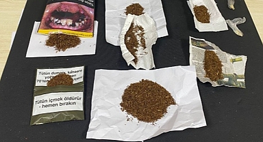 DÜZCE'DE 2 TORBACI DAHA TUTUKLANDI