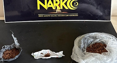 GENÇLERE BONZAİ SATAN TORBACI TUTUKLANDI