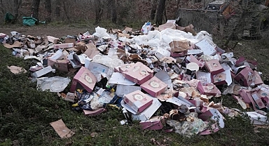 SORUMSUZ KİŞİLER ORMANI BÖYLE KİRLETMİŞLER