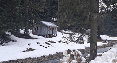 SOĞUK HAVA GERİ DÖNDÜ, YÜKSEKLERE KAR YAĞDI