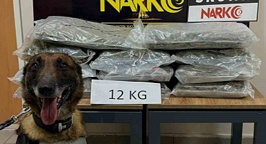 DÜZCE'DE 12 KİLO UYUŞTURUCU YAKALANDI