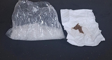 MET VE BONZAİ SATAN 2 TORBACI YAKALANDI