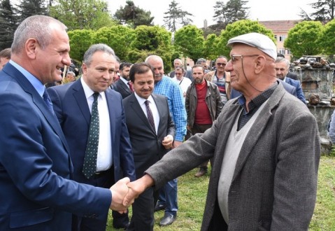 FİDAN DİKTİLER