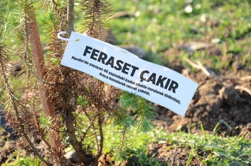 GENÇLER FİDAN DİKTİ
