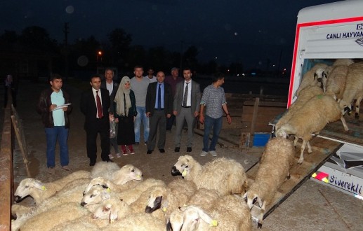 HAYVANLARINI TESLİM ALDILAR