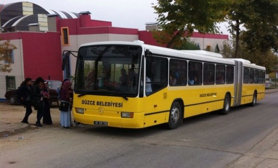 KÖRÜKLÜLER DEVREDE