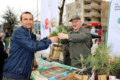 ÜCRETSİZ 10 BİN ADET FİDAN DAĞITILDI
