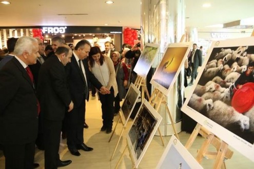 VALİ FİDAN FOTOĞRAF VE RESİM SERGİSİ AÇTI